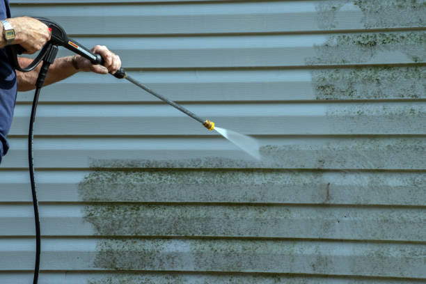 Best Deck Pressure Washing  in Olivet, MI