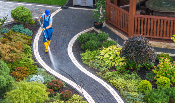 Best Roof Power Washing Services  in Olivet, MI