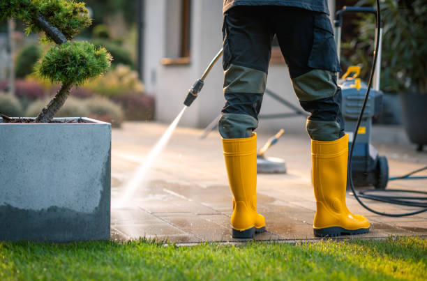 Best Power Washing Near Me  in Olivet, MI